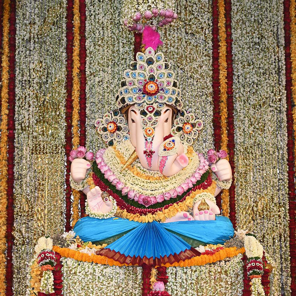 Mogara Mahotsav Live