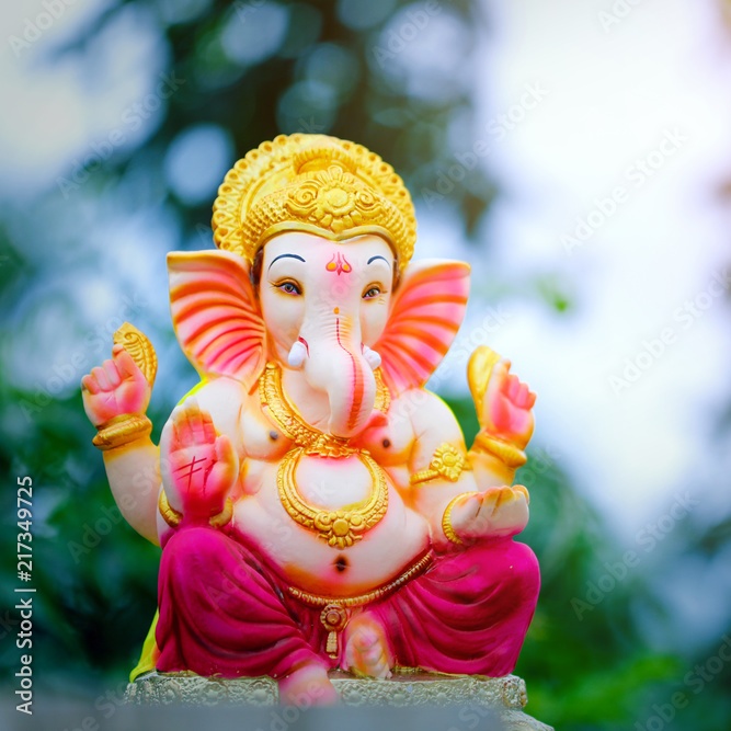 जावयाची पूजा